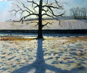 木と影、カルク修道院、ダービーシャー 作： Andrew Macara